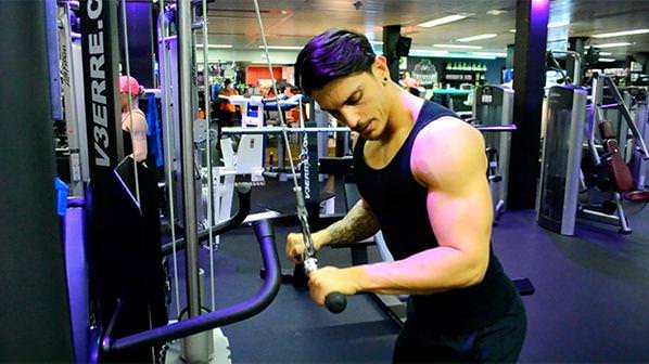 Trizeps/Triceps