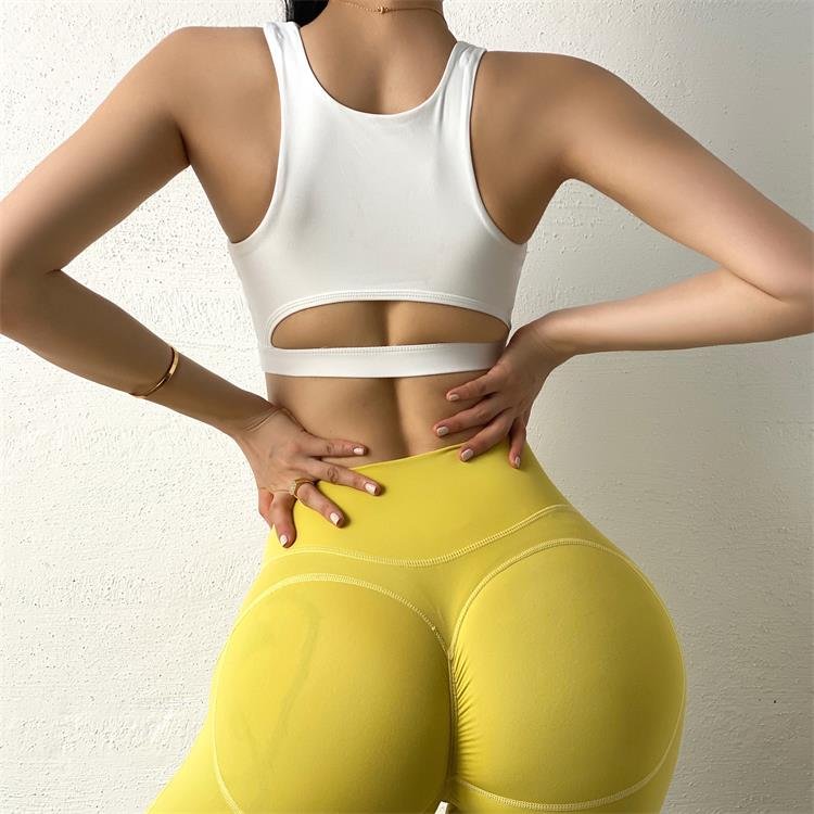 TG® Push-up Sport Bra – Bild 3